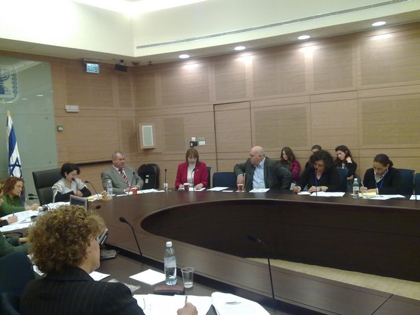 اللجنة البرلمانية للنهوض بمكانة المرأة توصي بإقامة لجنة خاصة للبحث في وضعية النساء العربيات وقضايا العنف ضد النساء